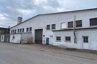 Büro zu mieten in Söderbergstraße, 84513 Töging, Produktionshalle mit Büro/Sanitärräumen