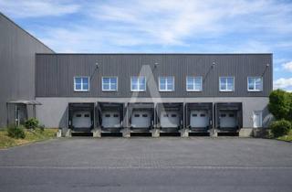 Gewerbeimmobilie mieten in 50169 Kerpen, LAGERFLÄCHE IN KERPEN | 7,5 M UKB | EBENERDIG & RAMPE | MIETE | ANGERMANN NRW