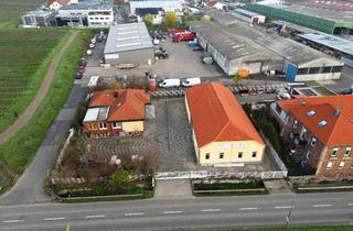 Gewerbeimmobilie kaufen in 67489 Kirrweiler, Gewerbehalle mit Wohnhaus und großzügiger Bürofläche.