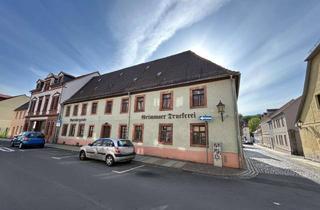 Anlageobjekt in 04668 Grimma, Denkmalgeschütztes Wohnhaus in Grimma