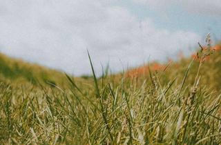 Grundstück zu kaufen in 56075 Karthause, Schönes Baugrundstück in guter Lage von Koblenz - Karthause