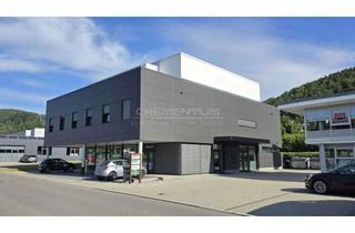 Büro zu mieten in Am Freizeitzentrum, 78194 Immendingen, Büro - Schulungsräume in Immendingen