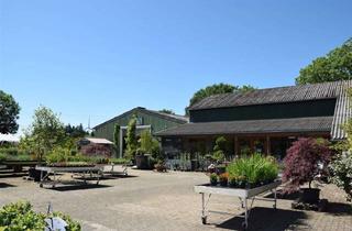 Immobilie kaufen in 24980 Meyn, Platz für Ihre Ideen!