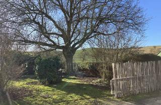 Immobilie kaufen in 34393 Grebenstein, Liebevoller Hof mit Weideland nahe Kassel auf 27000qm