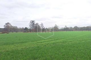 Immobilie kaufen in 33803 Steinhagen, Ackerlandparzelle in Steinhagen