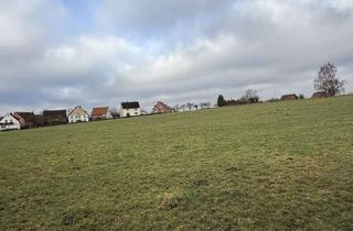 Gewerbeimmobilie kaufen in 31840 Hessisch Oldendorf, Landwirtschaftsfläche mit 2 Garagen in Hemeringen