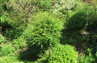 Wohnung mieten in 59889 Eslohe, 4-Zimmer Dachgeschosswohnung in Eslohe - OT (Sauerland)