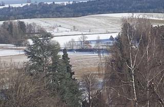 Mehrfamilienhaus kaufen in Xxx, 82335 Berg, Mehrfamilienhaus in Berg mit ca. 500 m² Wohnfläche