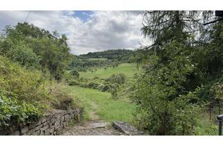 Haus kaufen in 71120 Grafenau, renovierungsbedürftiges Wohnhaus auf grossem Grundstück in Alleinlage