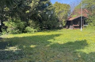 Haus mieten in 82061 Neuried, Großzügiges Einfamilienhaus mit 6 Zimmern -befristet (3-5 Jahre) ideal für Familien/ Expats