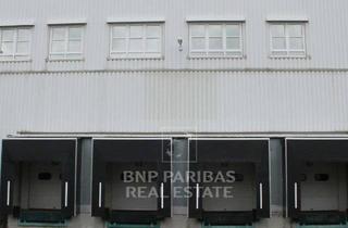 Gewerbeimmobilie mieten in 50169 Kerpen, Lager & Logistikhalle mit Rampen und zahlreichen ebenerdigen Toren in Kerpen-Türnich