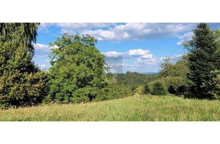 Grundstück zu kaufen in 73527 Schwäbisch Gmünd, EXKLUSIVER PLATZ IN ATTRAKTIVEM WOHNORT