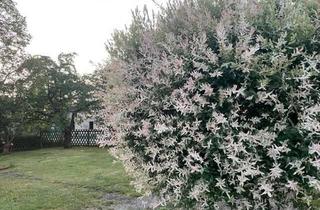 Grundstück zu kaufen in 13467 Hermsdorf, *Großzügiges Baugrundstück für zwei Einfamilienhäuser oder ein Mehrgenerationenhaus* 0172-6890001