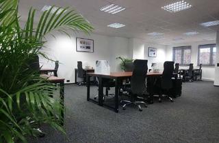 Büro zu mieten in 65428 Rüsselsheim, Dein neues Büro: flexibel, möbliert, sofort verfügbar