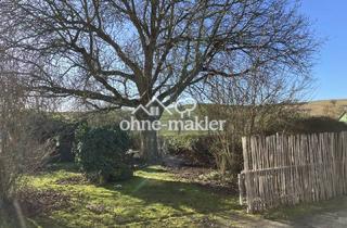 Lager kaufen in 34393 Grebenstein, Liebevoller Hof mit Weideland nahe Kassel auf 27000qm