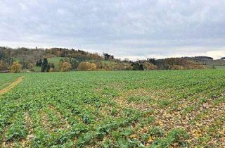 Immobilie kaufen in 59602 Rüthen, Verkauf einer Ackerfläche zwischen Rüthen und Altenrüthen!