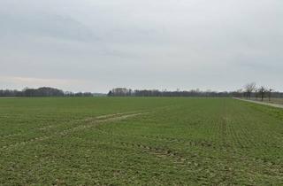 Immobilie kaufen in 27211 Bassum, Bieterverfahren: 4 ha Ackerland in Bassum-Apelstedt! Bieterfrist bis 07.05.2026!