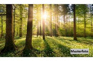 Immobilie kaufen in 93437 Furth im Wald, Waldfläche ++ provisionsfrei ++