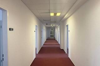 Büro zu mieten in Rheinstr. -D 7c-d, 14513 Teltow, Büro oder Praxis im Zentrum von Teltow zu mieten