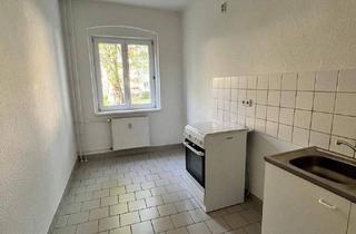 Wohnung kaufen in Prenzlauer Berg, 10409 Berlin, Berlin - Sonnige und charmante Wohnung in Prenzlauer Berg - zum Soforteinziehen