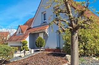 Einfamilienhaus kaufen in 76473 Iffezheim, Iffezheim - Modernes, lichtdurchflutetes Haus in idyllischer Sackgasse Elsass