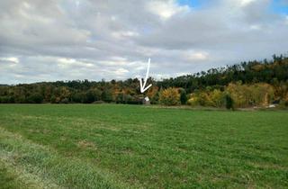 Haus kaufen in 96364 Marktrodach, Marktrodach - Haus mit Nebengebäude, Alleinlage, zentral, 1800qm Grund