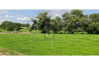 Grundstück zu kaufen in 37318 Hohengandern, Hohengandern - GESTALTEN SIE IHR EIGENES ZUHAUSE