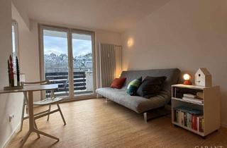 Wohnung kaufen in 79837 St. Blasien, Kleines Raumwunder: Schwellenarmes, voll möbliertes und renoviertes Apartment - sofort bezugsbereit