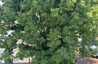 Wohnung kaufen in Schmuzerstraße, 81373 Sendling-Westpark, Geschmackvolle 2-Zimmer-Wohnung in München Sendling-Westpark