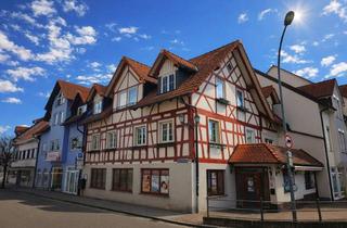 Wohnung mieten in 78333 Stockach, Moderne 2-Zimmer-Wohnung im EG mit EBK – frisch saniert & zentral in Stockach