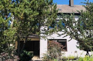 Wohnung mieten in 90518 Altdorf, Neu renovierte 1 Zimmer Wohnung mit Blick in den Garten