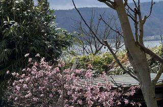 Wohnung mieten in Burkhard Von Hohenfelsstr 14, 78354 Sipplingen, Charmante 1,5-Zimmer Souterrain Wohnung, ruhig, mit Terrasse und Gartennutzung in Sipplingen