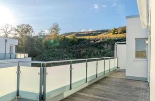 Penthouse mieten in 55424 Münster-Sarmsheim, Exklusives Penthouse mit Panoramablick über das Nahetal Penthouse