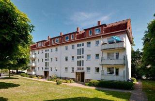Wohnung mieten in Schilgenstr., 49080 Kalkhügel, Frisch renovierte 3-Zimmer-Wohnung mit Balkon!