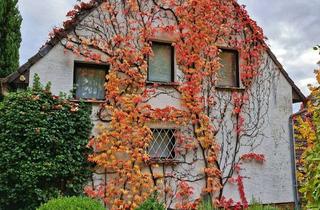 Einfamilienhaus kaufen in 67663 Innenstadt, Charmantes Einfamilienhaus mit idyllischem Garten und Weitblick
