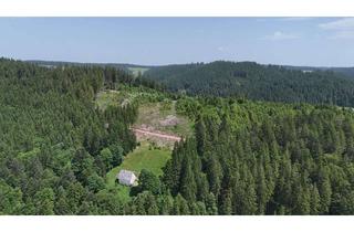 Haus kaufen in 78120 Furtwangen, Schwarzwaldhaus in einzigartiger Alleinlage – Ruhe, Natur und Privatsphäre pur