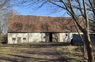 Haus kaufen in 01594 Hirschstein, Spielwiese für Ideen - Sanierungsbedürftiger 2-Seitenhof in Hirschstein OT Boritz