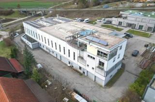 Gewerbeimmobilie kaufen in Marie-Curie-Straße, 71083 Herrenberg, 5t Kranbahn * Nähe A81 * ebenerdige Andienung