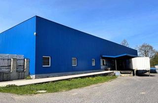 Gewerbeimmobilie mieten in 95100 Selb, 2 km zur Grenze: Hochmoderne Lager-/Produktionsflächen mit maximaler Effizienz!