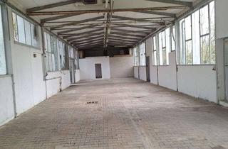 Gewerbeimmobilie mieten in Im Brünnel, 77871 Renchen, Unbeheizte, helle Halle