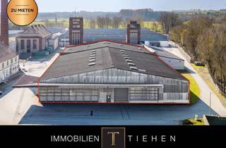Gewerbeimmobilie mieten in 48432 Rheine, Ideal für Lager & Logistik: 2 Hallen mit insgesamt 2.554 m² Fläche in Rheine - Gellendorf zur Miete