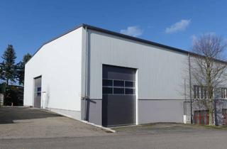 Gewerbeimmobilie mieten in 75056 Sulzfeld, Gewerbehalle, Kranhalle, 780m², 7m hoch, 4 Sektionaltore bis 4,90m breit