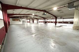 Büro zu mieten in 67227 Frankenthal, Große Halle mit ebenerdiger Andienung + Büro optional | sofort nutzbar | Top Lage Frankenthal