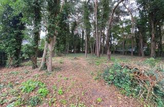 Grundstück zu kaufen in Seestraße 38, 15712 Königs Wusterhausen, Grundstück in Seenähe zum Verkauf!