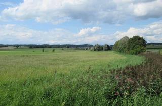 Grundstück zu kaufen in Schloßstr., 86497 Horgau, Wiesengrundstück bei Horgau