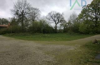 Grundstück zu kaufen in 24863 Börm, Idyllisches Grundstück im Grünen – Ihr Rückzugsort für neue Lebensideen!