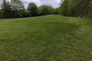 Grundstück zu kaufen in 21521 Aumühle, Natur pur: Rohbauland mit zusätzlicher Landwirtschaftsfläche in Aumühle