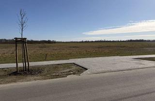 Grundstück zu kaufen in Ringstraße, 16356 Werneuchen, letztes Grundstück, direkt am Feldrand,-Provisionsfrei und ohne Bauträger, Krummensee (Werneuchen)