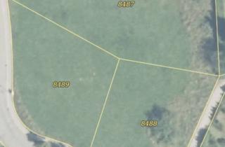 Grundstück zu kaufen in Vogelsangring, 72186 Empfingen, Einzigartiges Grundstück in bester Lage in Empfingen