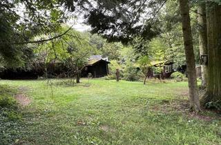 Grundstück zu kaufen in 65375 Oestrich-Winkel, Sie lieben die Natur - Ruhe und den Rheingau ? ...dann weiterlesen